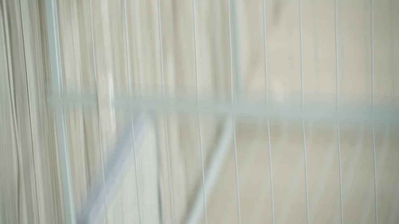 小狗玩耍