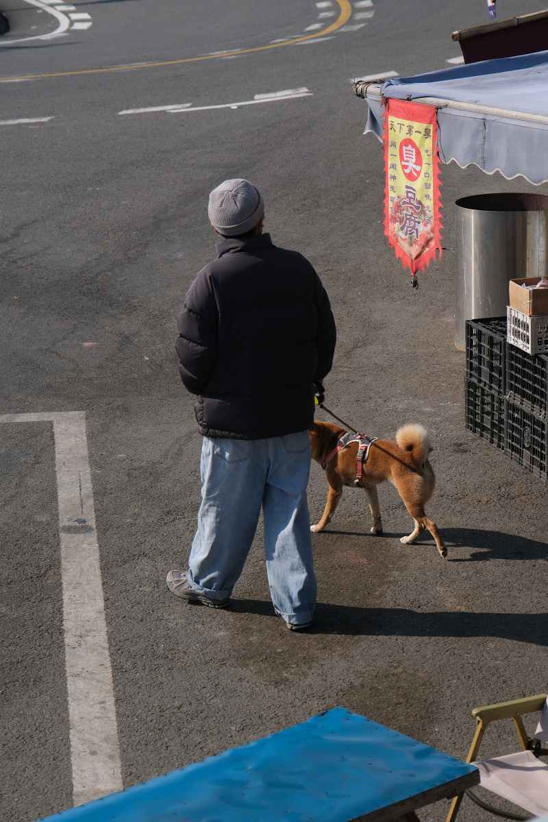 人与犬