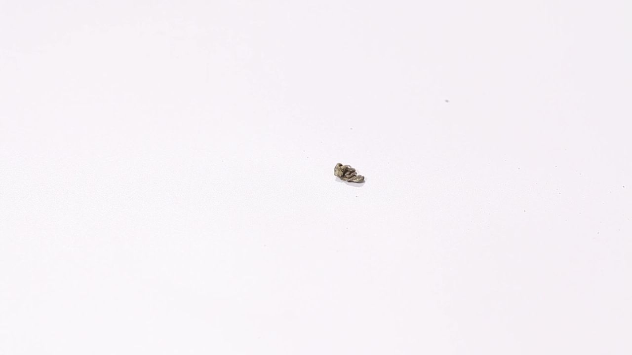 小苦茶空镜绞股蓝