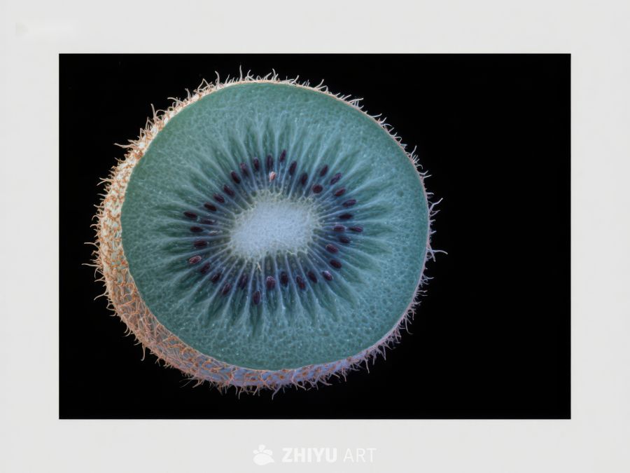 切开的奇异果特写 380