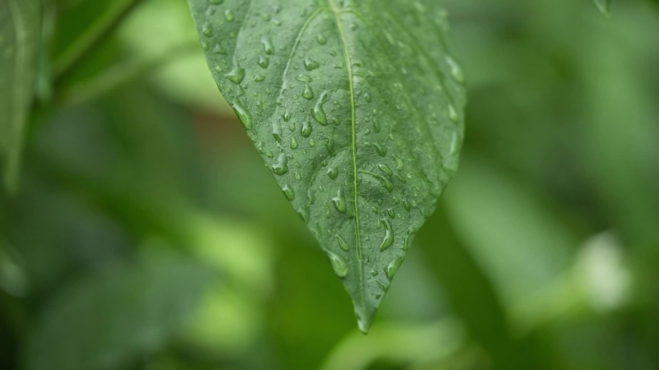 一天下雨水滴 22