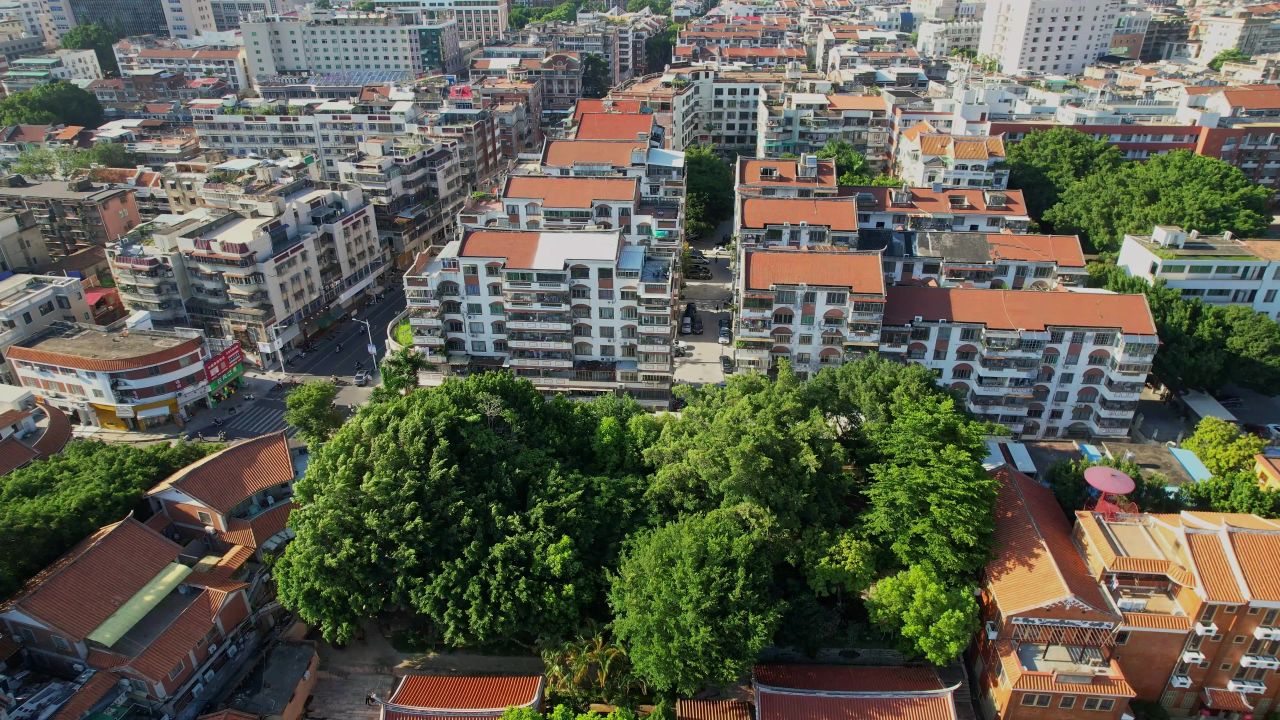 航拍泉州承天寺景观