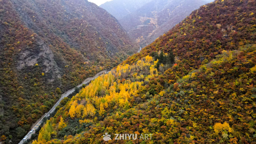 兰州七里河区云顶山秋景 15