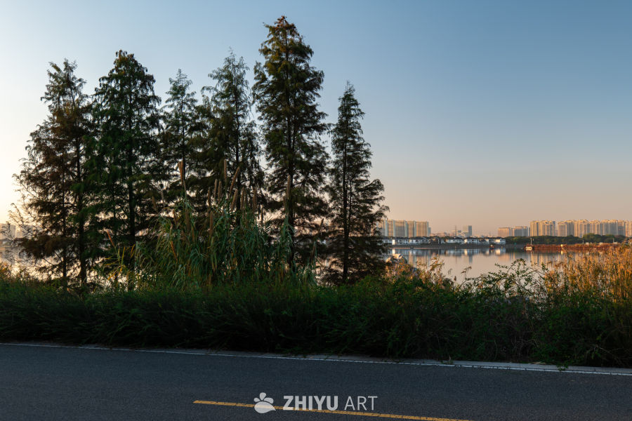 湖畔黄昏：自然与城市的对话