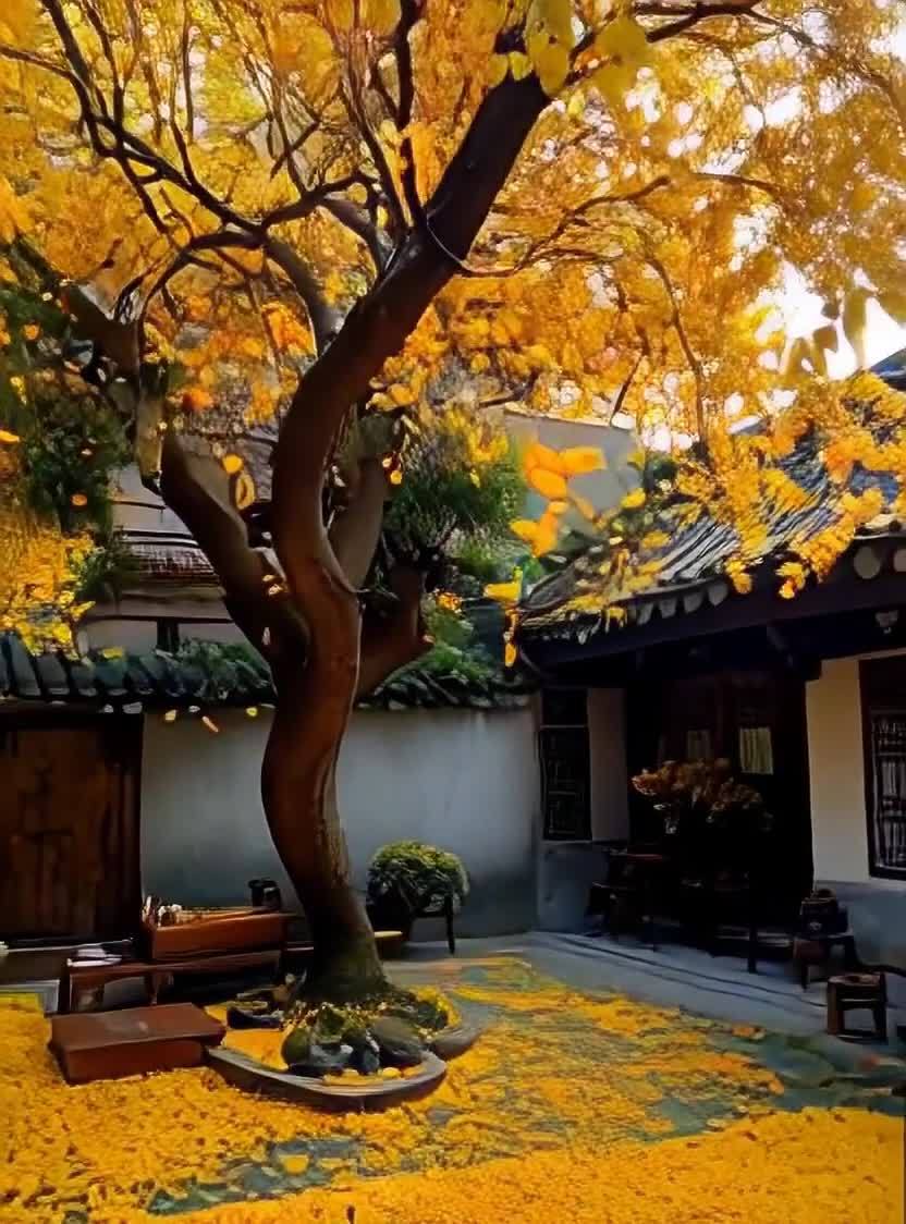 一个中式庭院内，一棵高大的树木占据画面中心，树上开
