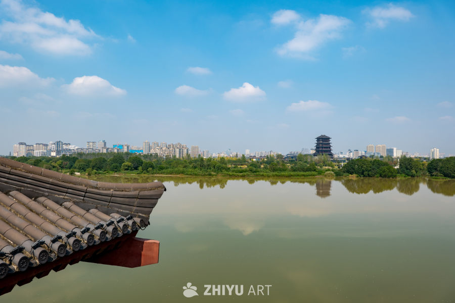 汉江湿地公园 47