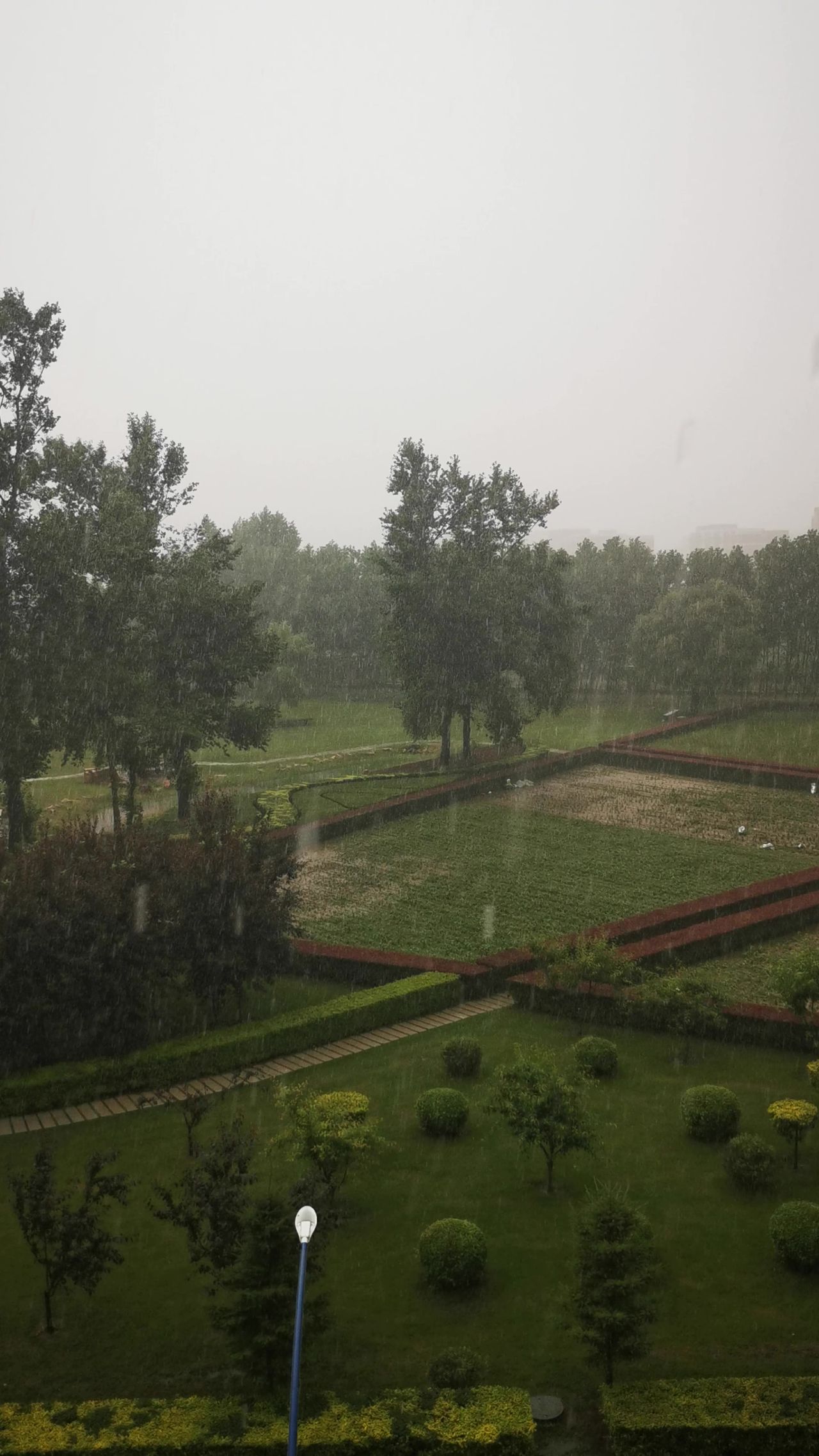 下雨的花园