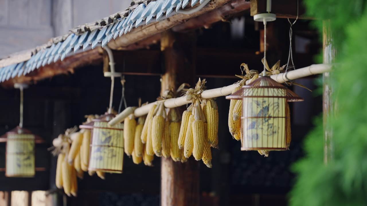 屋檐下挂着丰收的玉米情绪意境空境