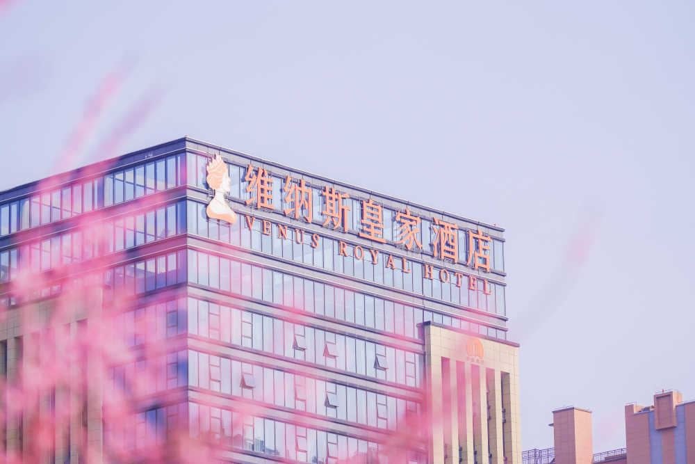 梅花 33