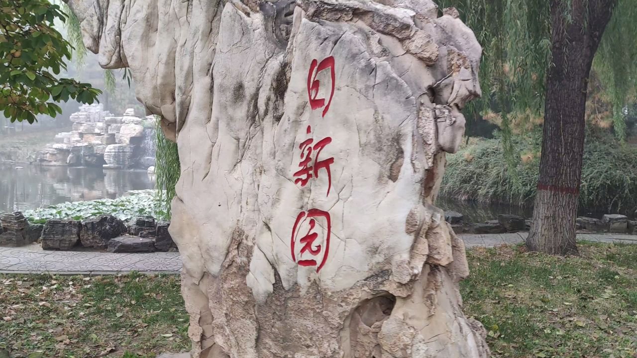 大学 保定 31