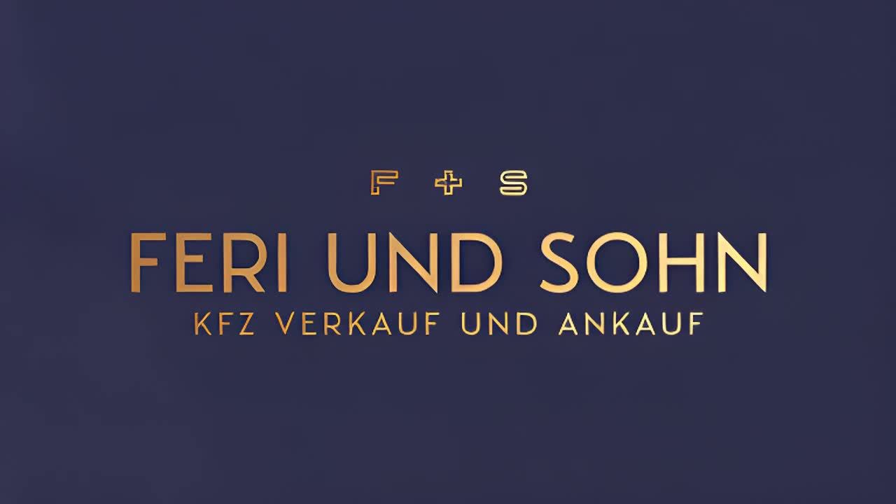 深蓝色背景上，显示着金色的文字F + S，FERI