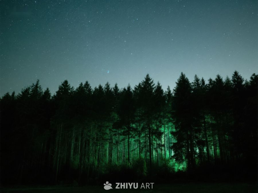 夜幕森林，神秘绿光 459