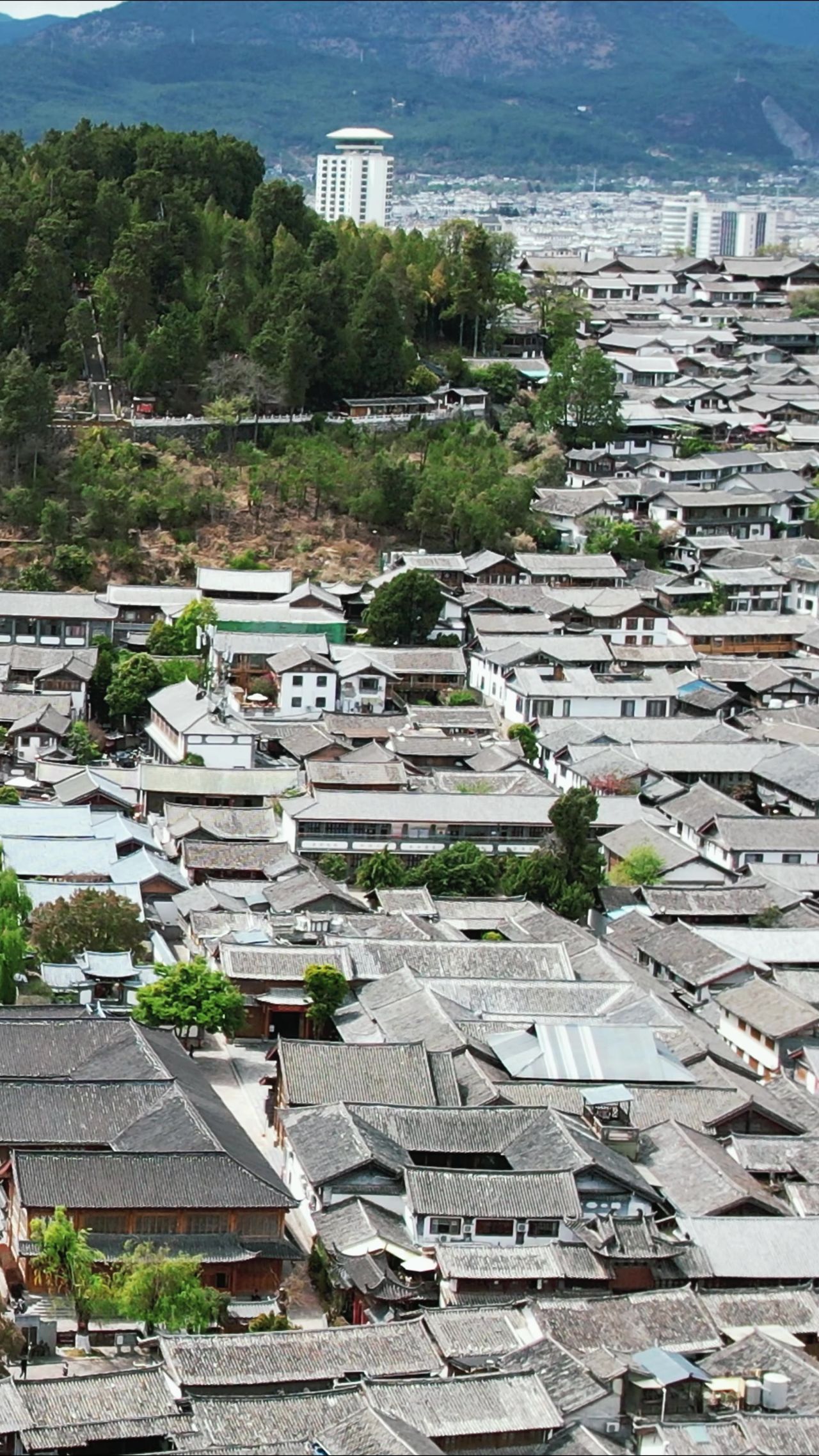 云南丽江大研古城竖屏航拍  