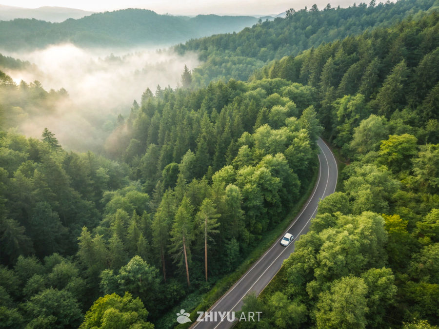 晨雾中的森林公路