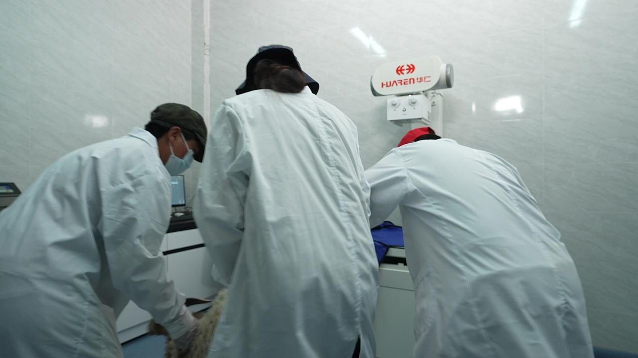 畜牧兽医团队工作记录