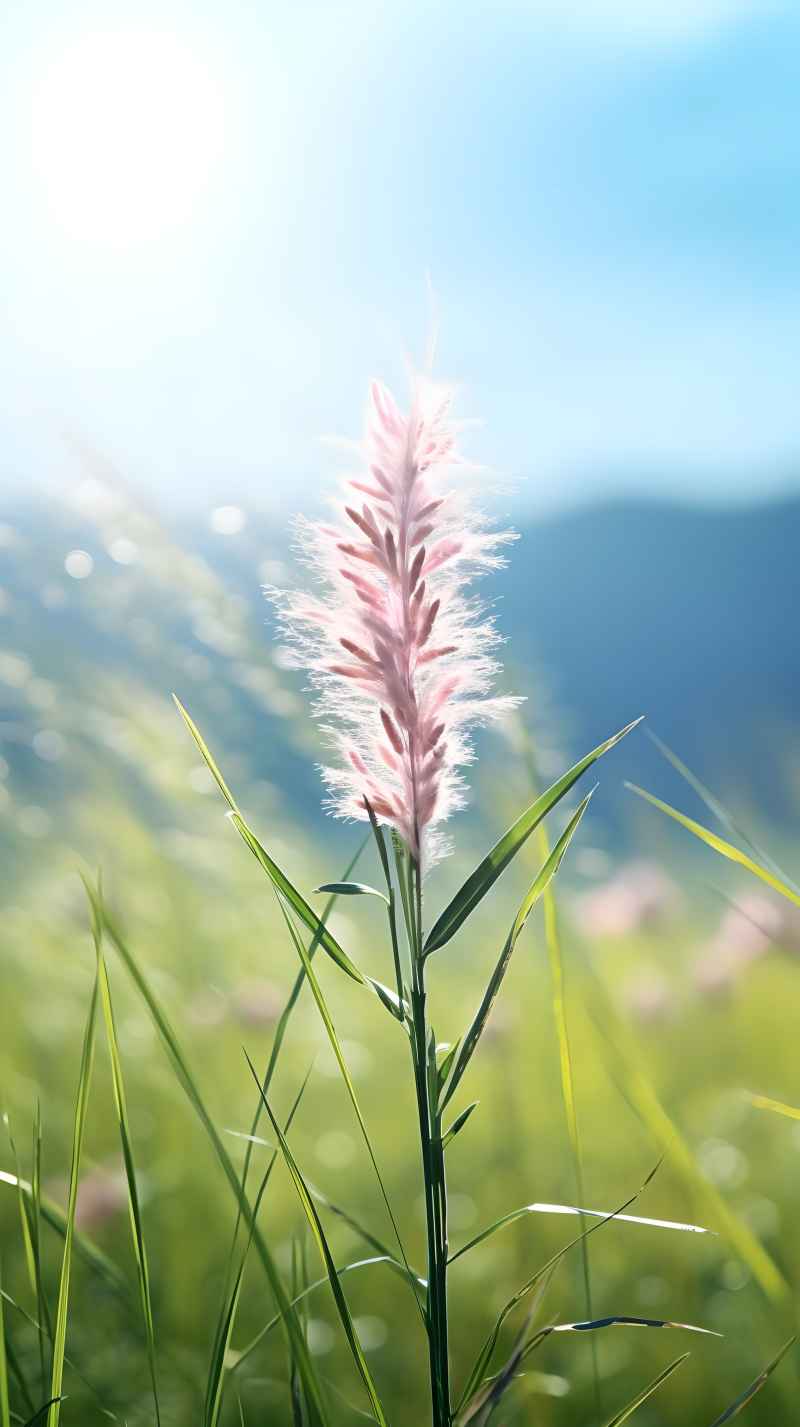 绿色唯美自然小草背景图 25