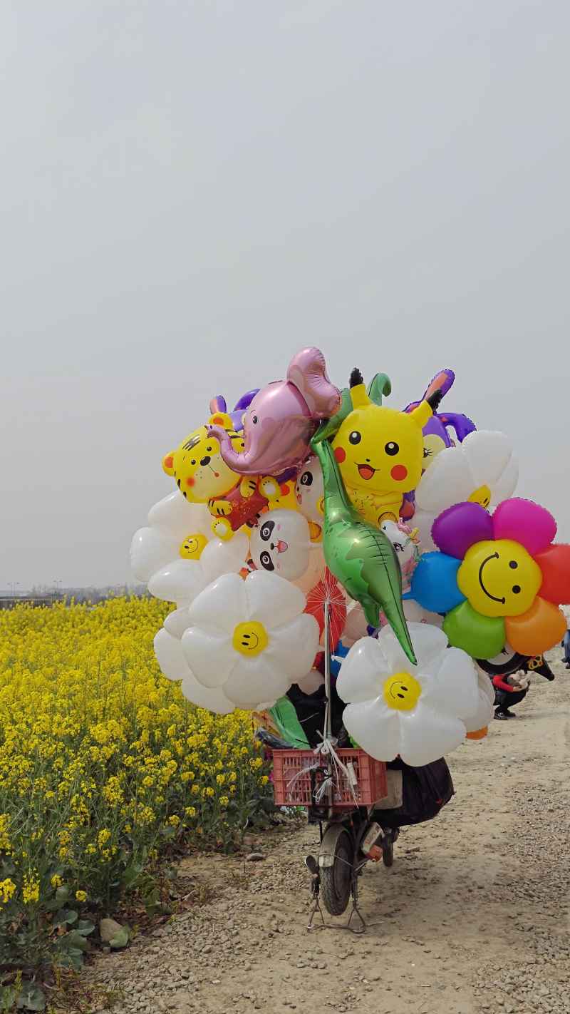 油菜花与气球