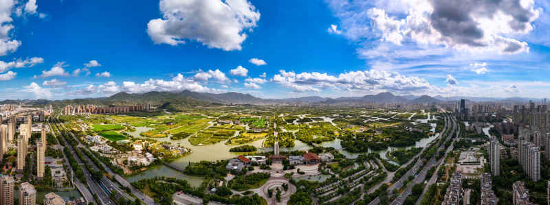 温州三垟湿地 2