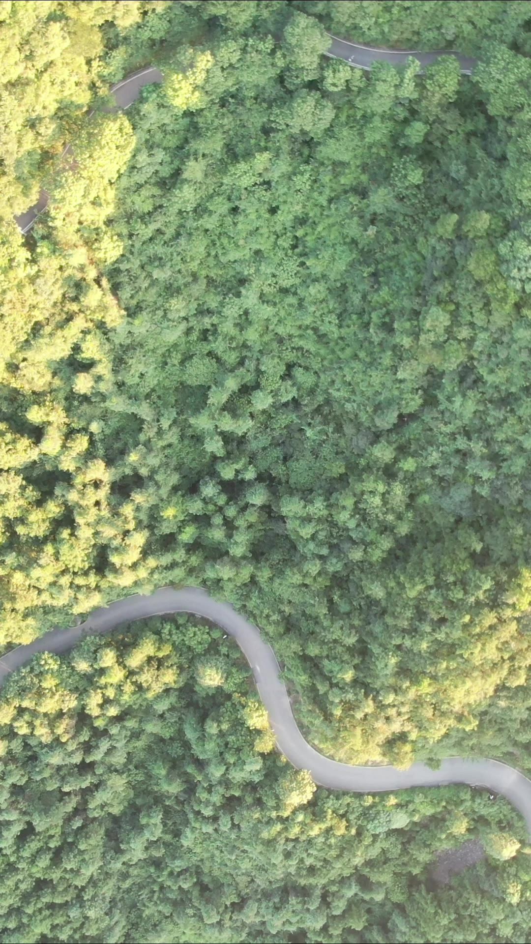 俯拍湖南怀化中破山公园竖屏 
