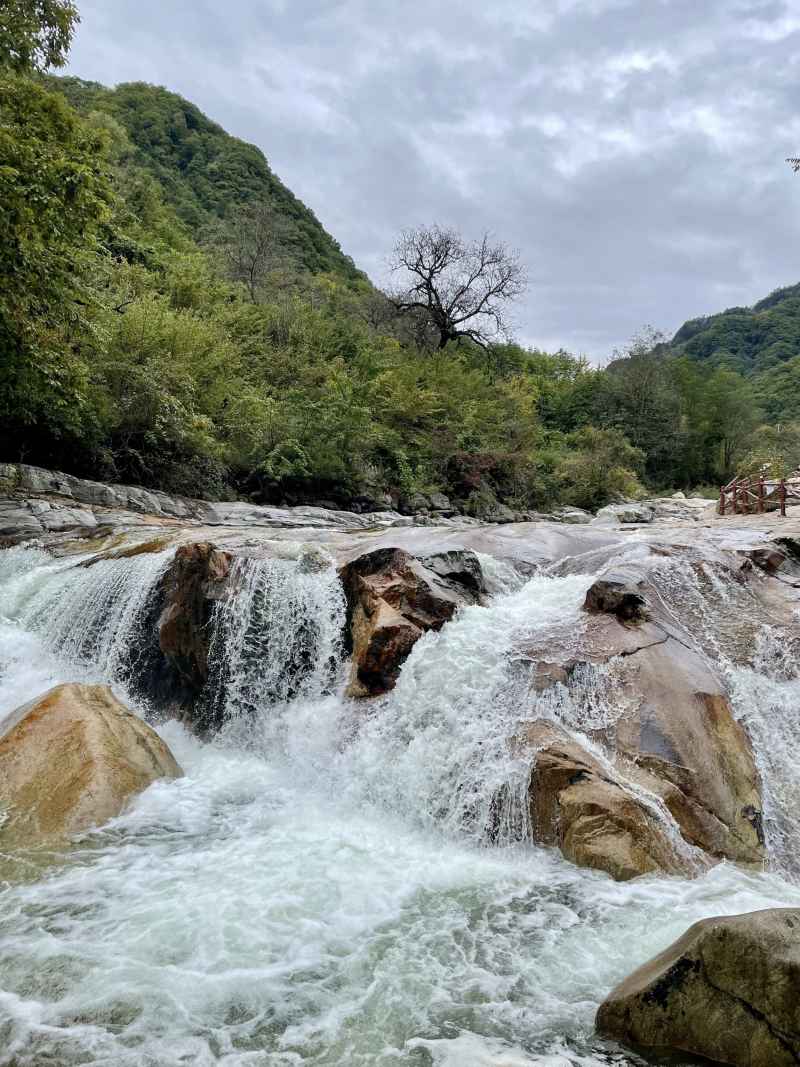 秦岭一路大箭沟