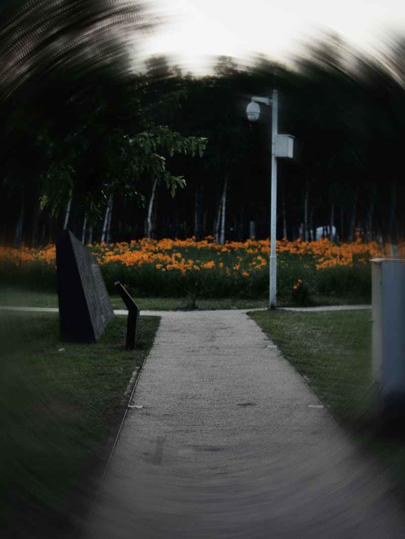 幽静