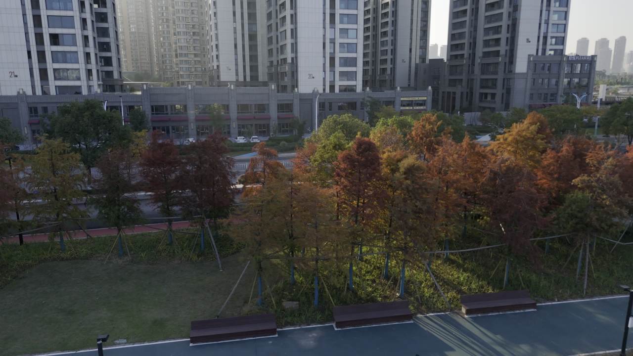 江边公园 22