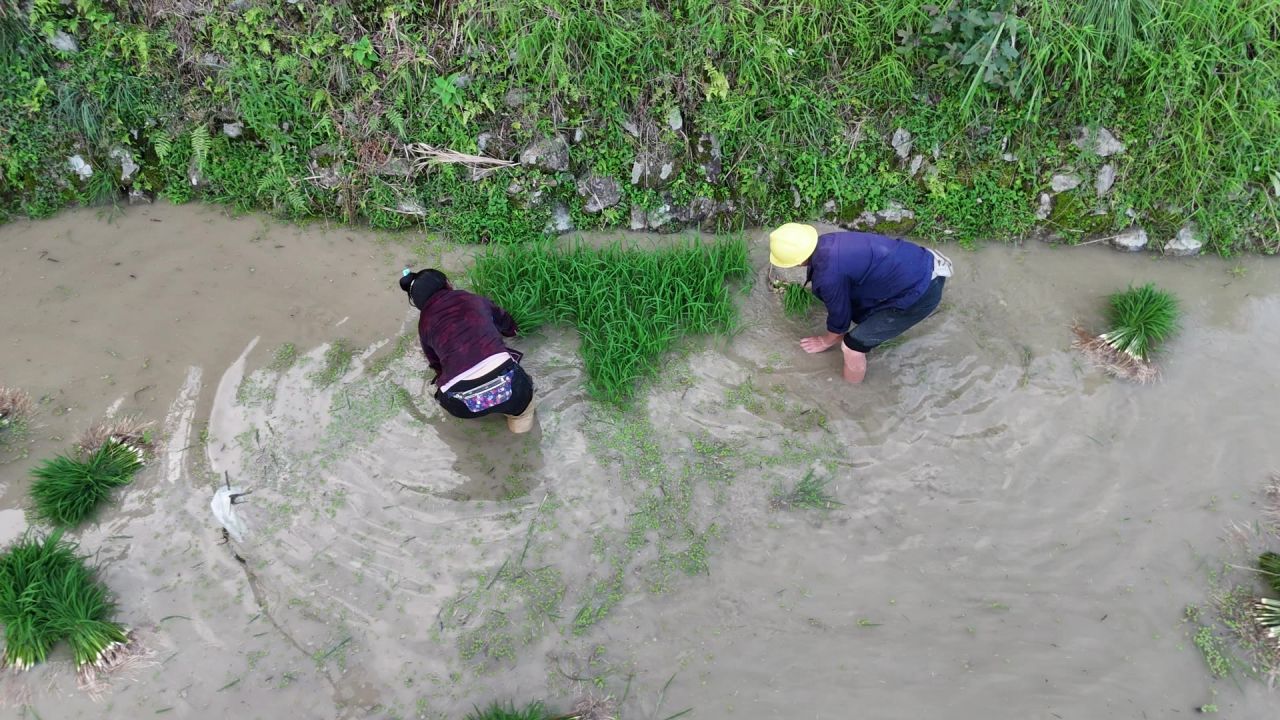 贵州网红加榜梯田航拍 6