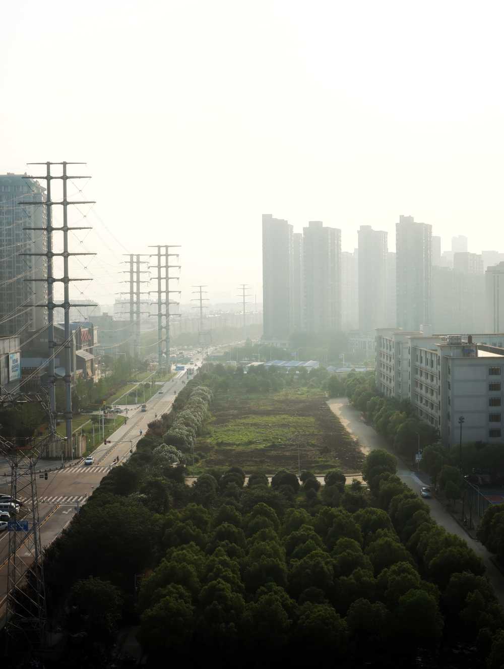 城市雾气的早晨