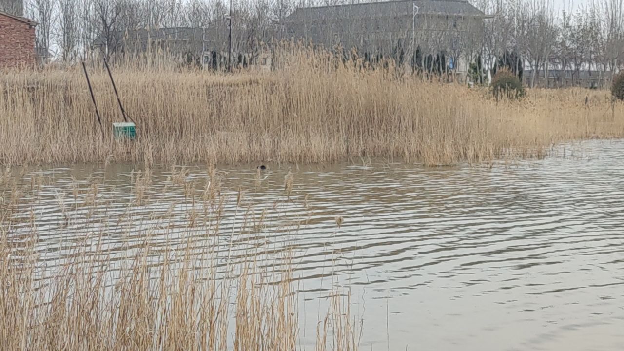 春景