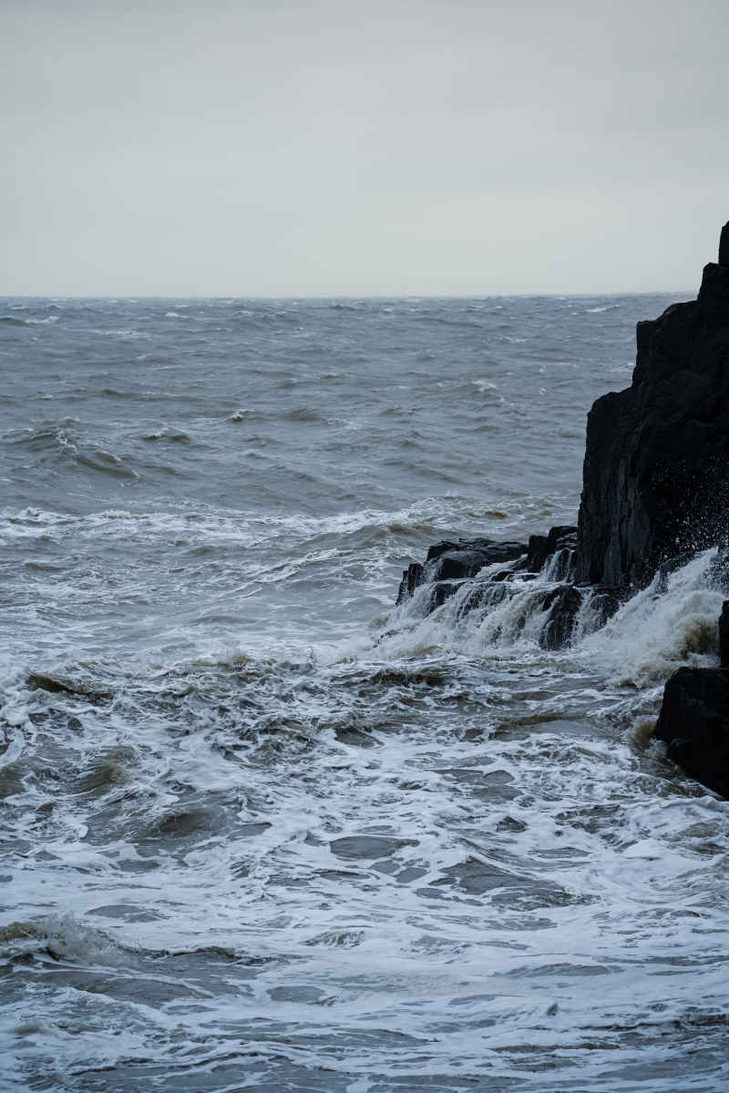 海