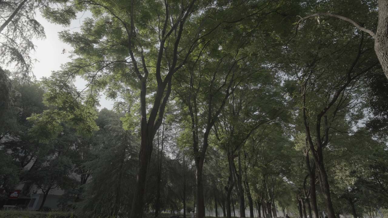 宜昌江边 90
