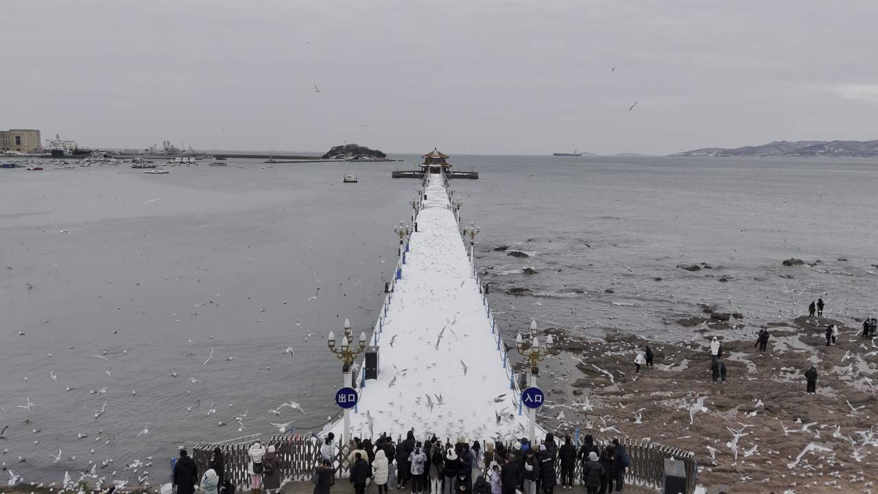 青岛市南老城区栈桥海边雪景航拍 3