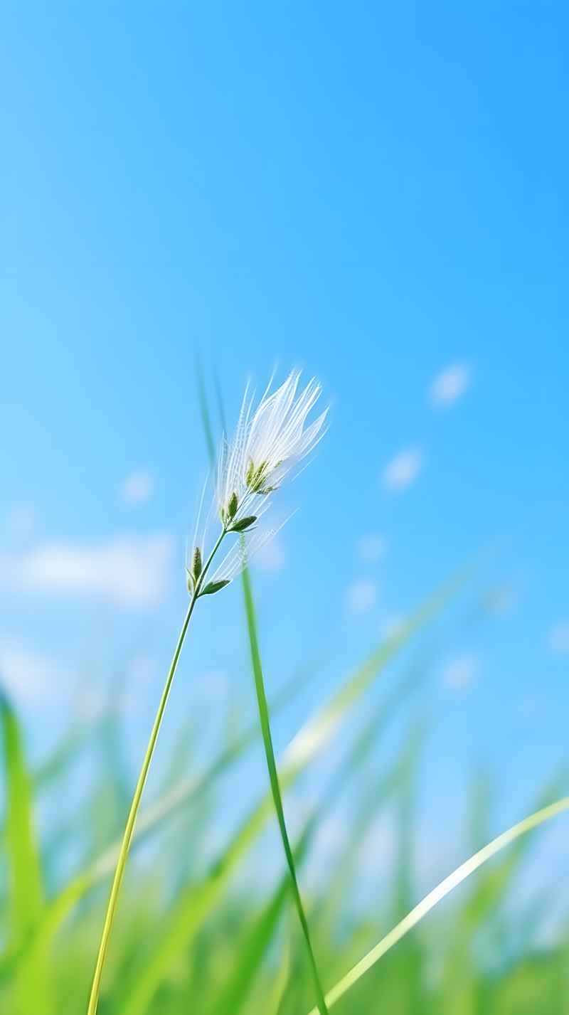 绿色唯美自然小草背景图 38