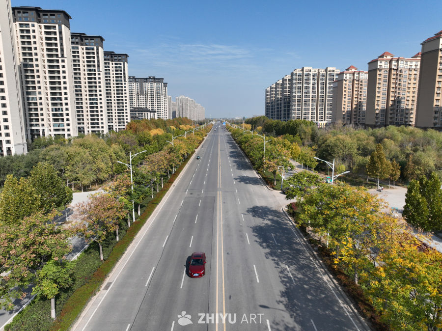 城市大道秋景