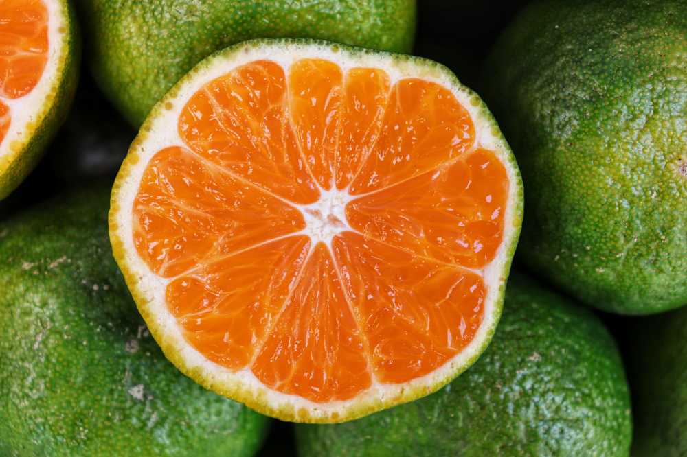 水果柑橘橙色新鲜