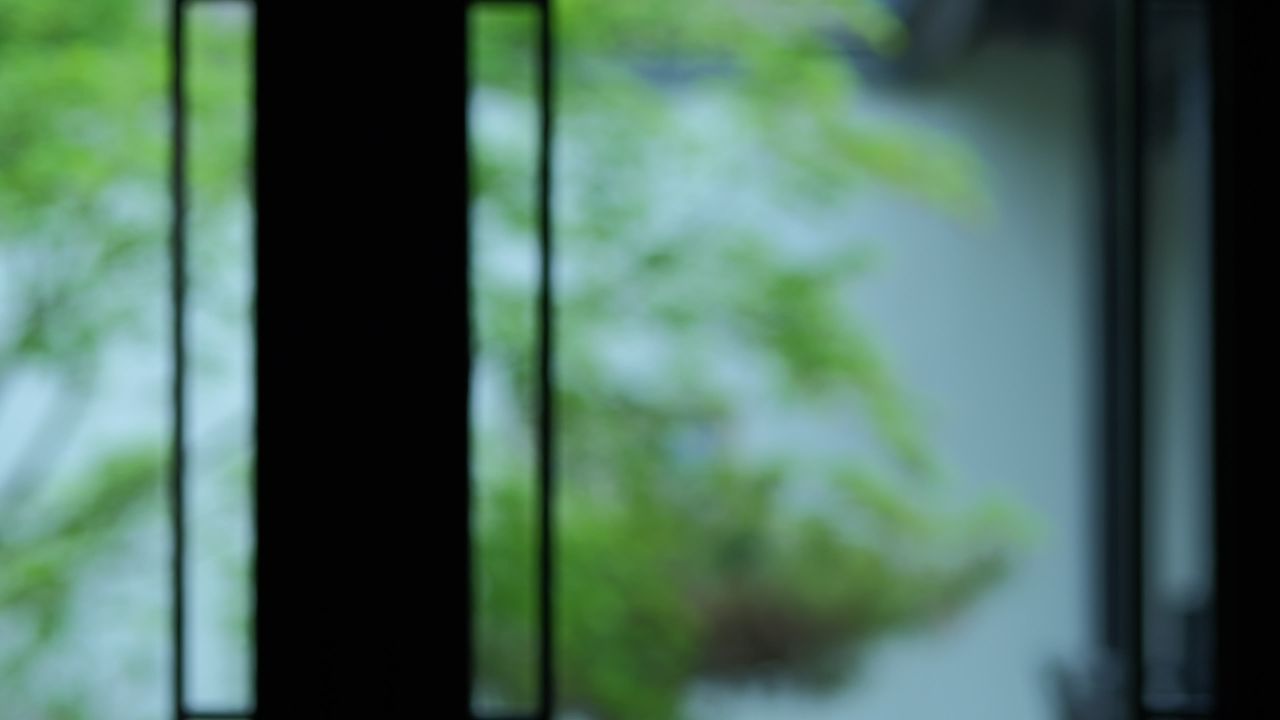 中式建筑空镜头 10