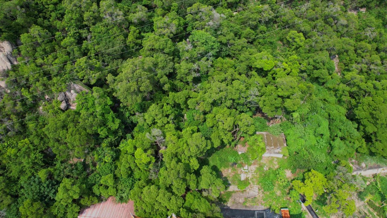 航拍厦门碧山岩寺景观 6