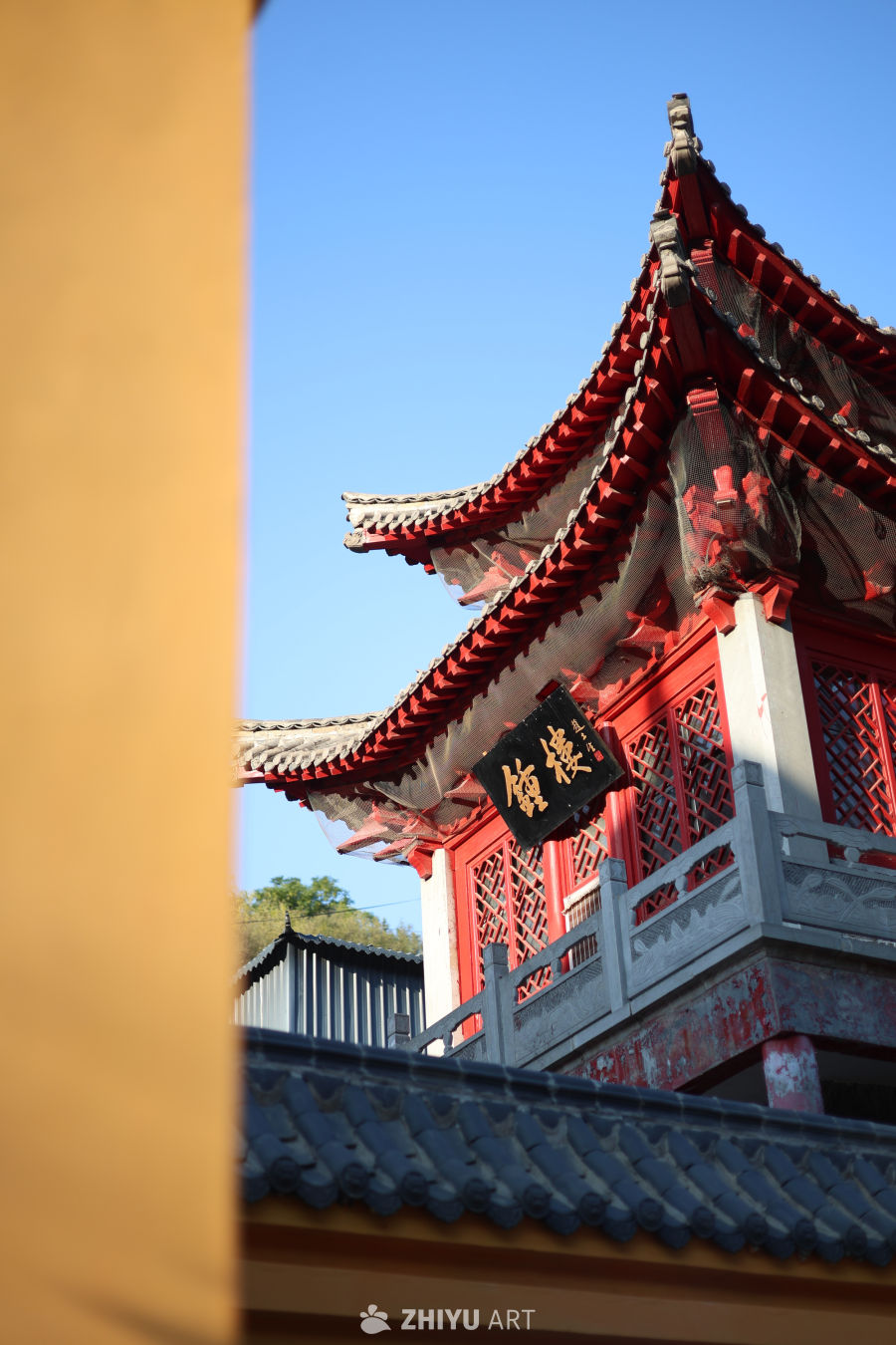 【实拍样片】佳能EOS R8相机实拍照片原片 11