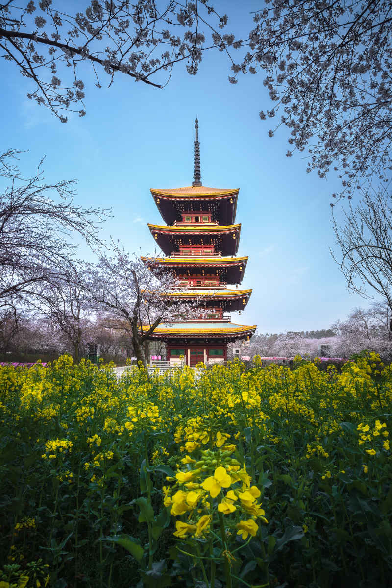 东湖樱园