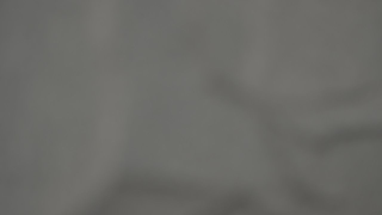 游船 4