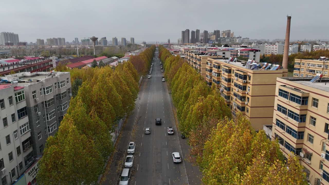秋日城市街道