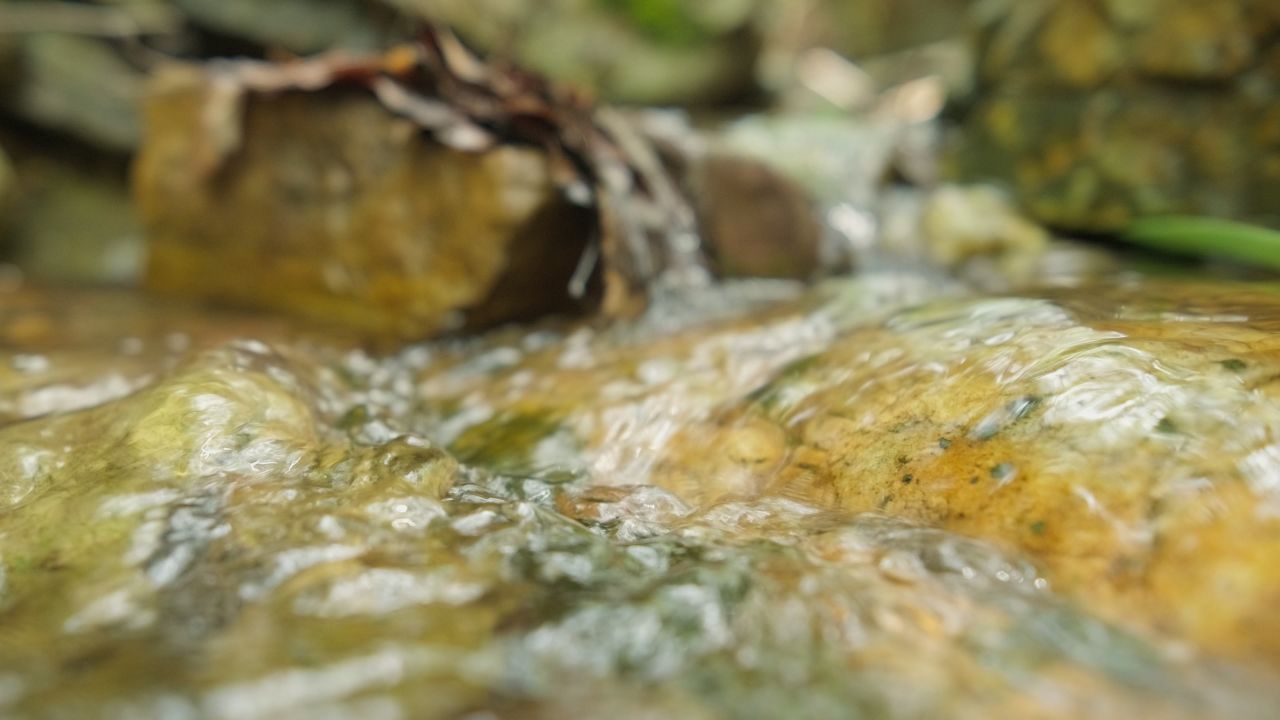 清澈山泉水温泉矿泉水小溪山涧 21