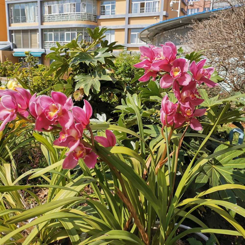 花