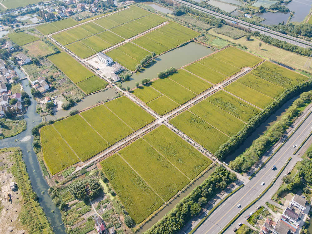 昆山市北村自然村风貌