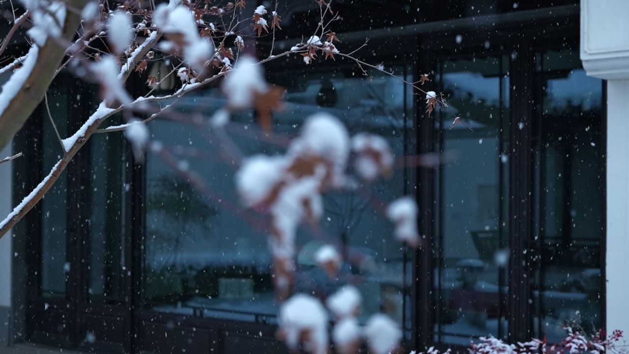 中式园林雪景 园林雪景 江南雪景 22