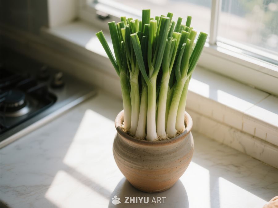 窗台上的葱盆栽 137