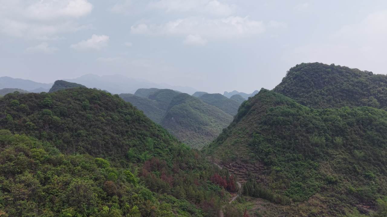 河池 11