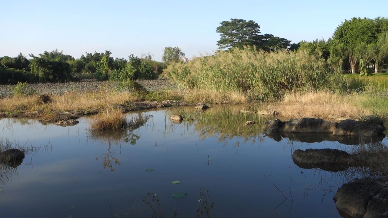 秋日公园湖面