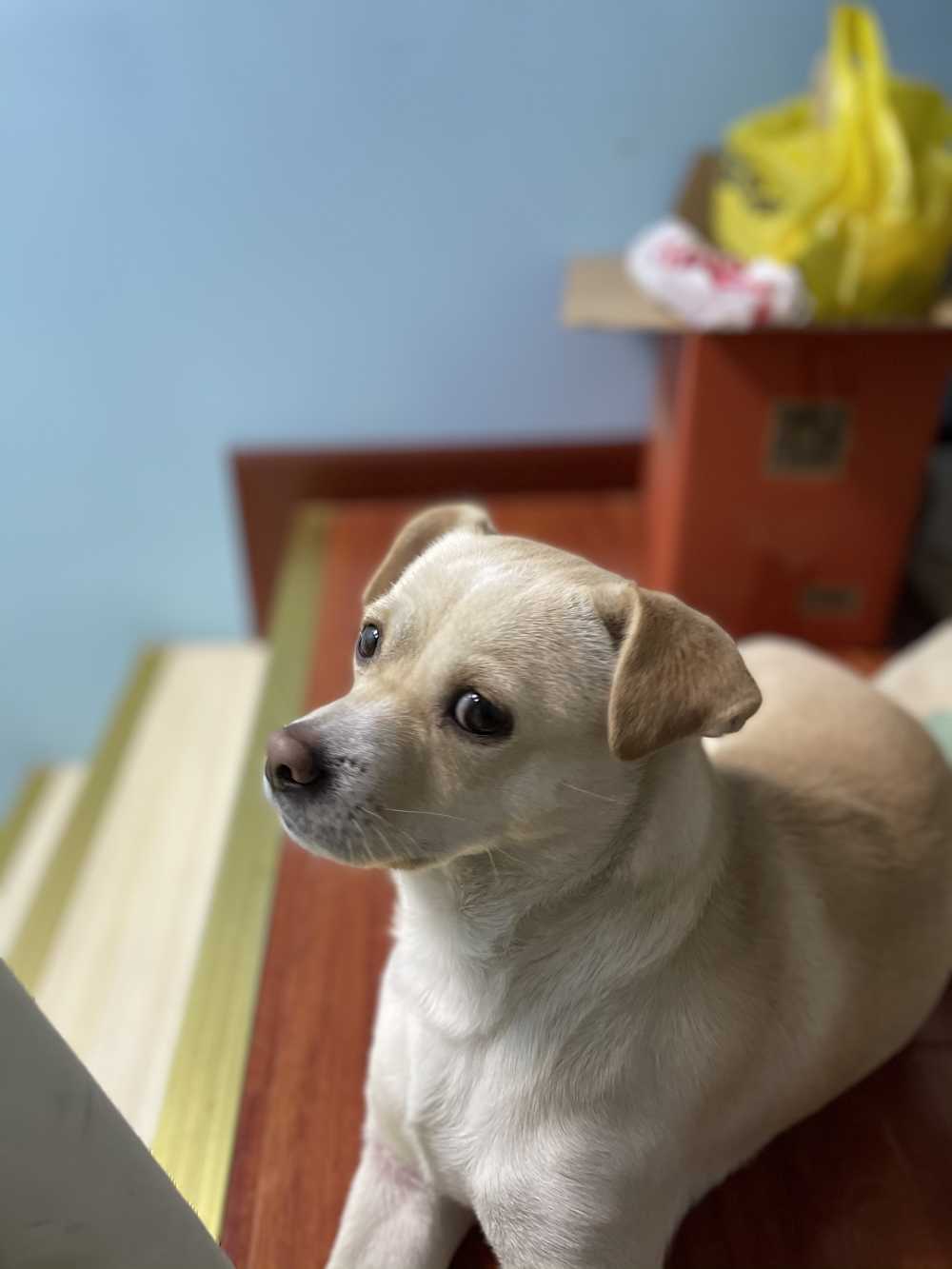 有事？