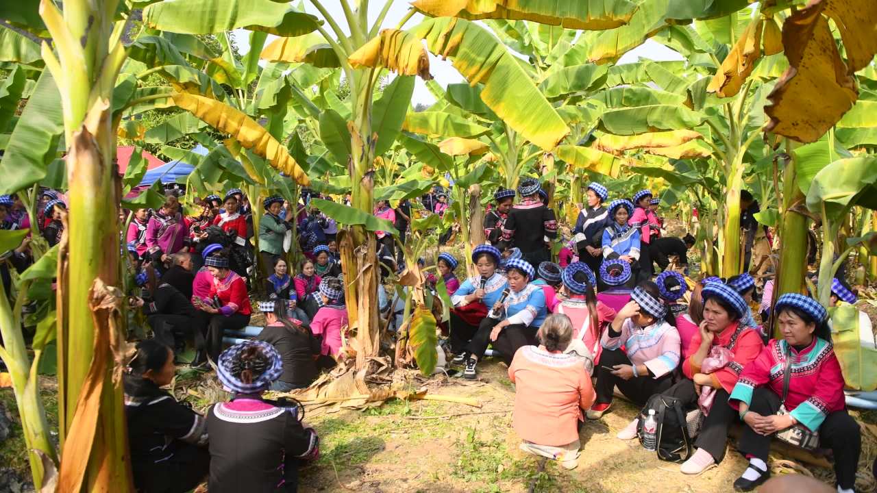 4k布依族山歌  唱山歌 布依族生活